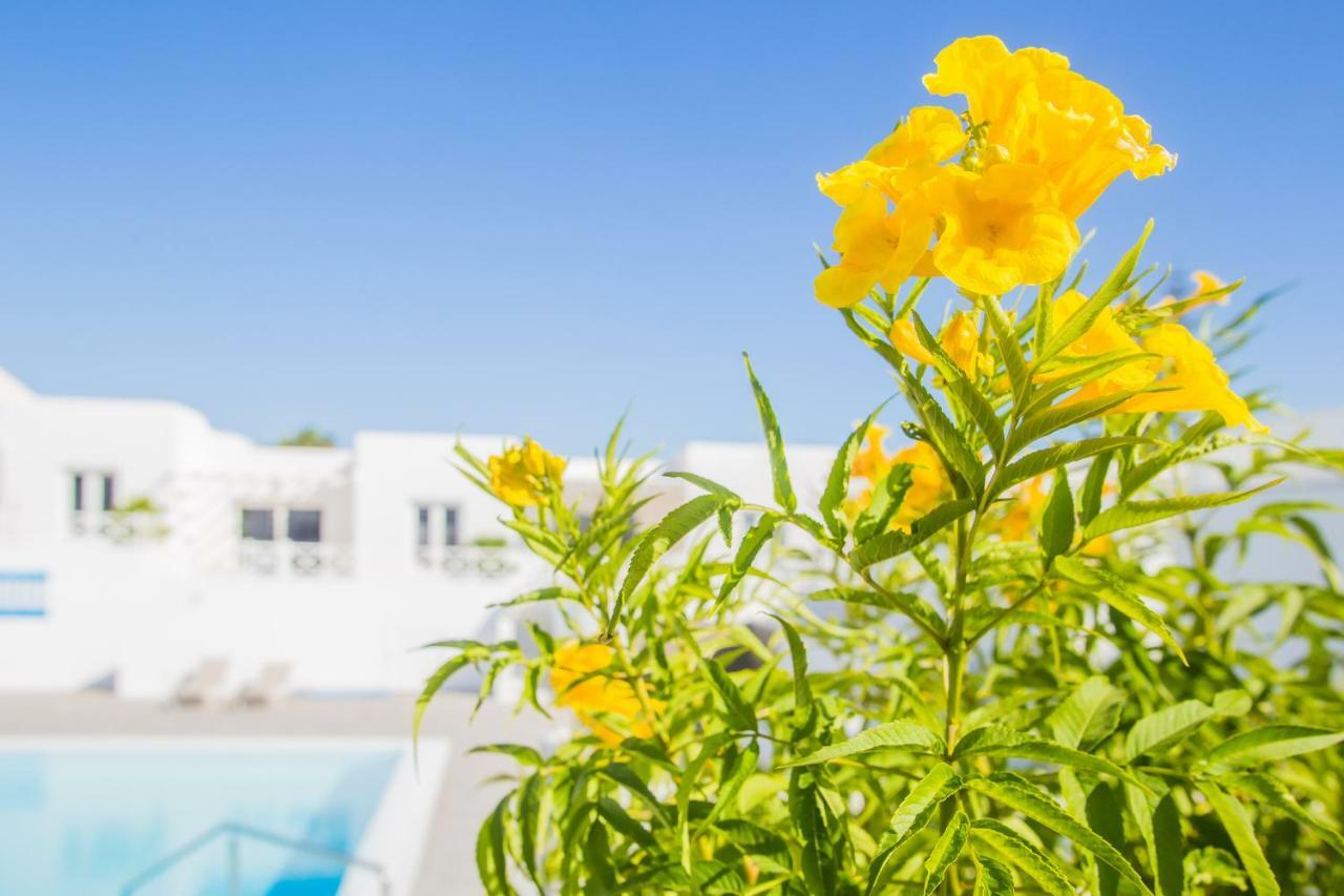 Flower Beach Suite 6 Playa Honda  Bagian luar foto